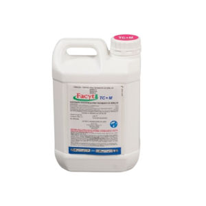 FACYT TC+M