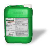 Motivador BORO FACYT