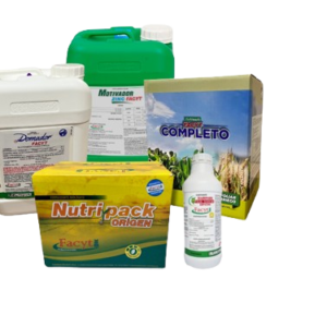 Maiz3-removebg-preview Combo Maíz III