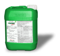 Fozinc FACYT