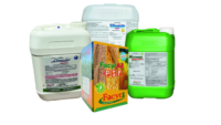 Combo Girasol I