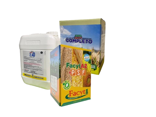 Combo Girasol II