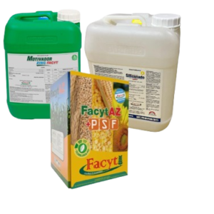 Maiz-Sorgo_1-removebg-preview Combo Sorgo II