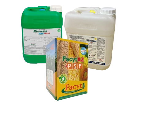 Combo Sorgo II
