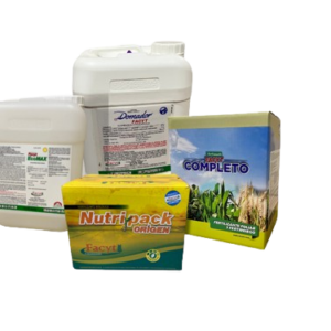 Maiz_1-removebg-preview Combo Maíz I