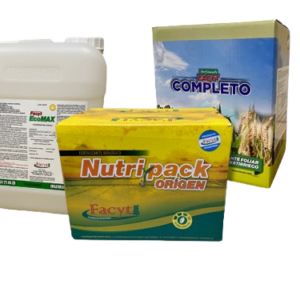 Maiz_2_new-removebg-preview Combo Sorgo I