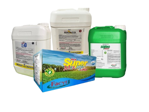 Combo Soja III