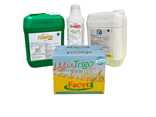 Combo Trigo II