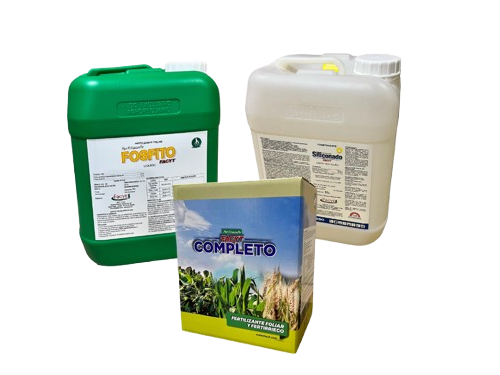 Combo Frutihortícolas II